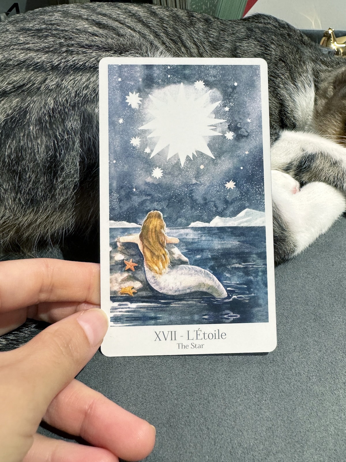 ✦ 塔羅筆記:The Star【星星】毫無防備的信任,一切都好 - 第1張圖 ✦ 塔羅筆記:The Star【星星】毫無防備的信任,一切都好