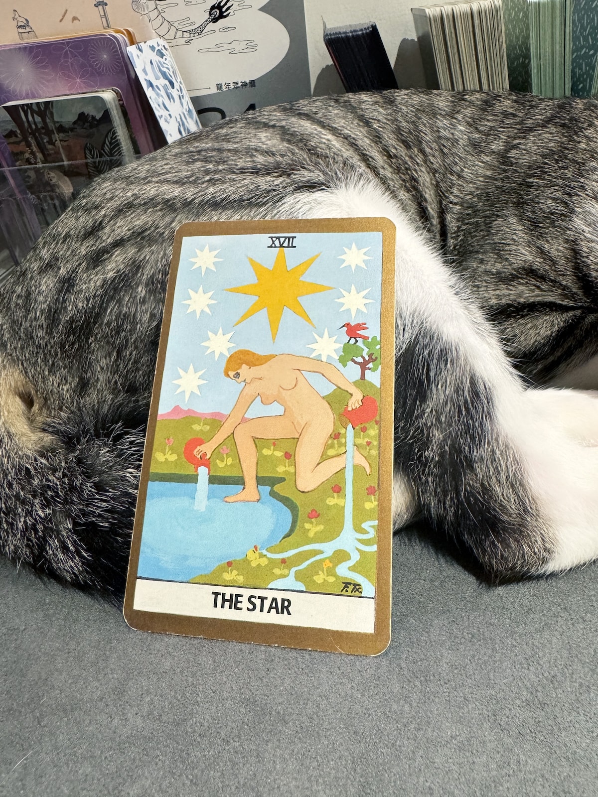 【塔羅療癒師培訓班】是一堂什麼樣的課程？