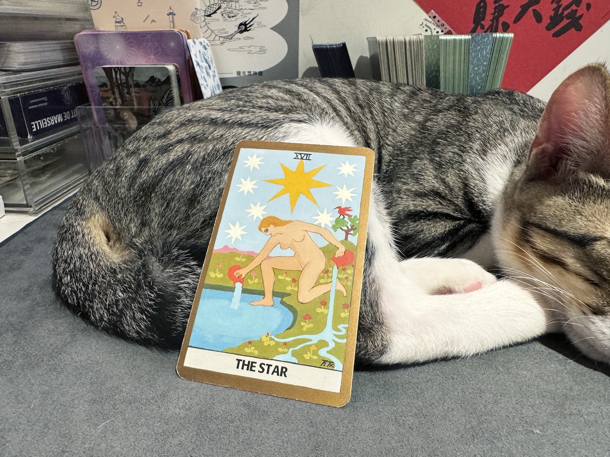 ✦ 塔羅筆記：要如何學好塔羅牌？