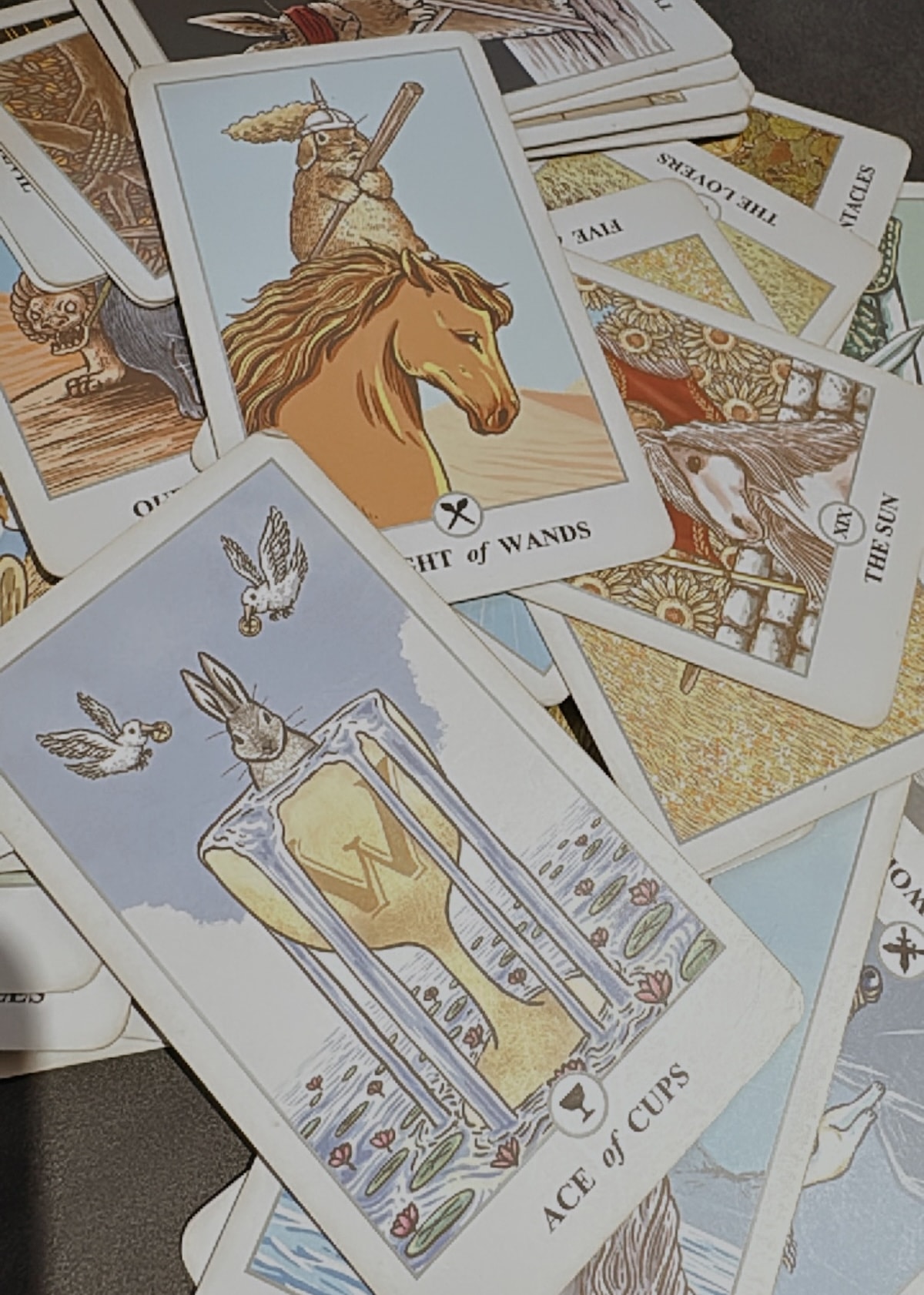 【塔羅療癒師培訓班】我想跟你分享的課程特色